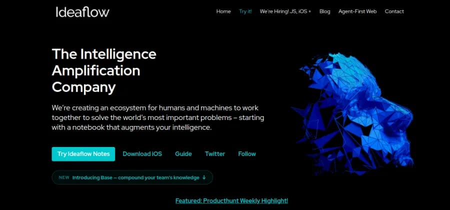 Ideaflow website