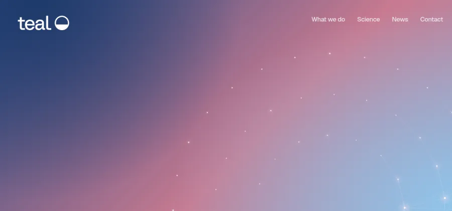 Teal Rise website