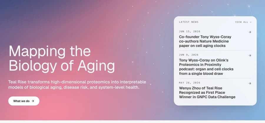 Teal Rise website